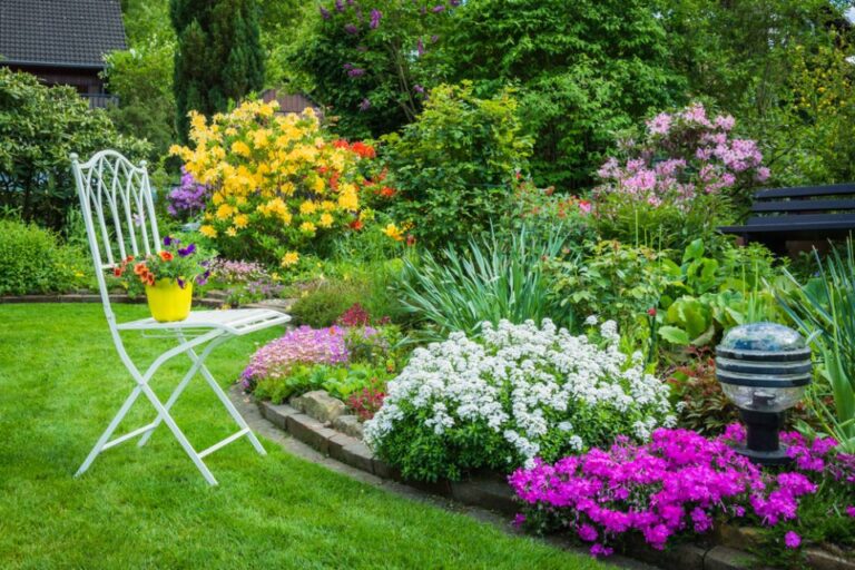 How to Beautify Your New Home’s Backyard